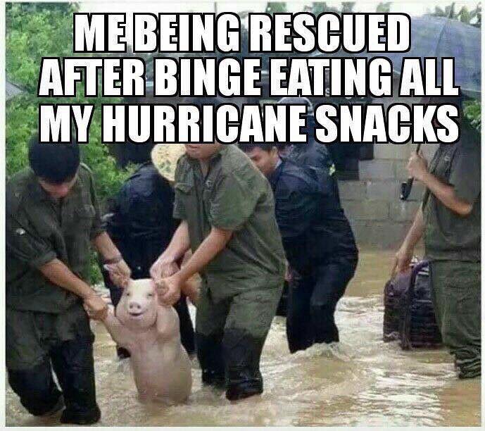 Hurricane Irma Memes