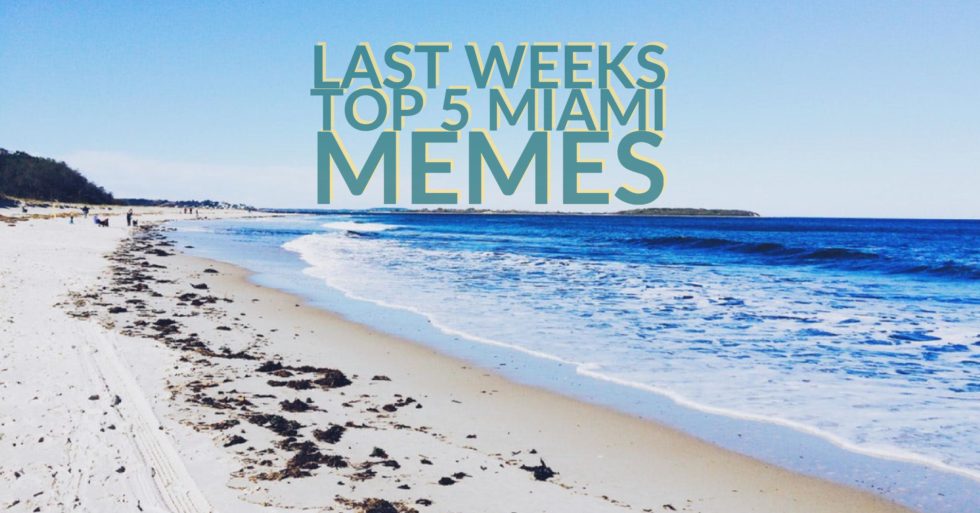 Last Weeks Miami Memes