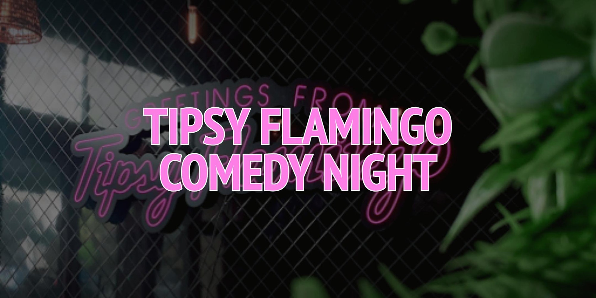 Tipsy Flamingo Comedy Night